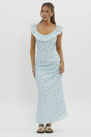 The Garden Party Maxi Dress - Blue