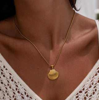 Seashell Necklace