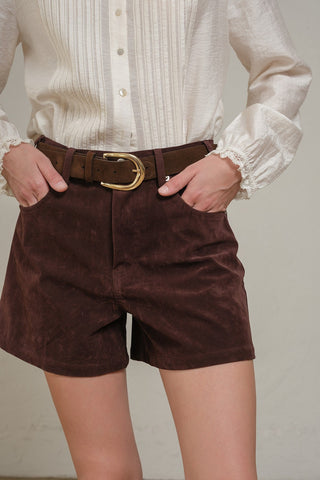 Brown Suede Shorts - 