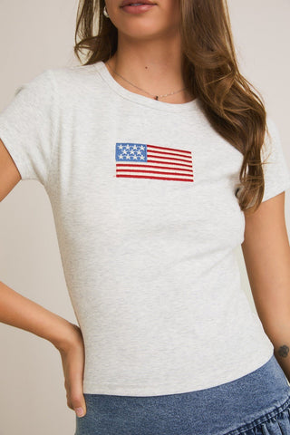Heather Grey USA T Shirt - 