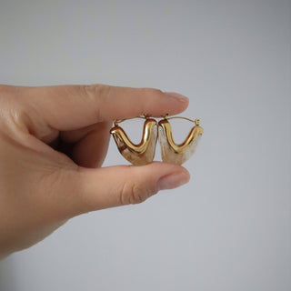 Tori Acrylic Tortoise Hoops - 